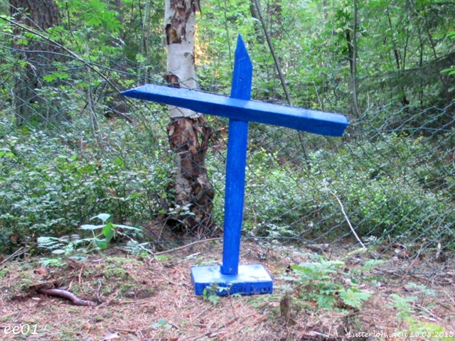 Das Koboldskreuz (1)