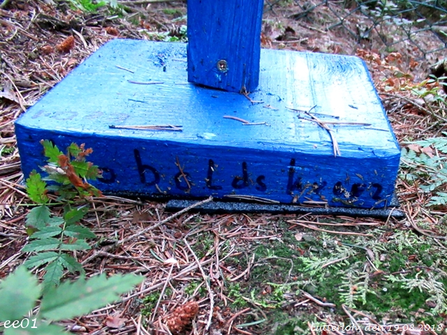 Das Koboldskreuz (4)