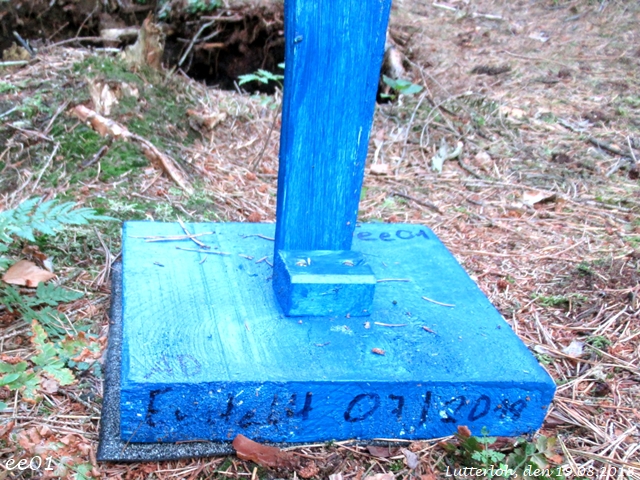 Das Koboldskreuz (5)