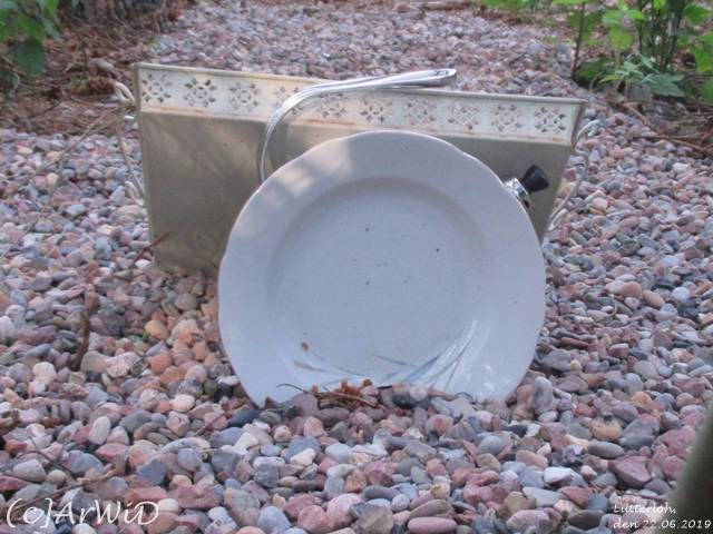 ©Unterlüßer Fundstücke (6)