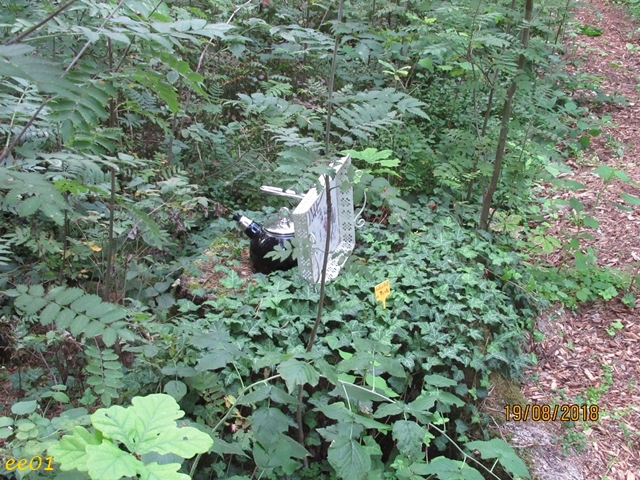 Unterlüßer Fundstücke (2)