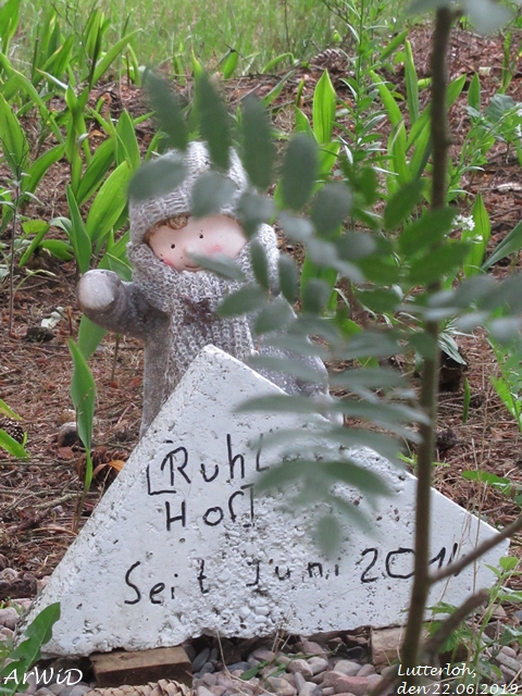 Das ungeliebte Kind (1)