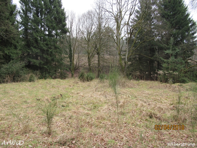 Fundamente Räberspring (2)