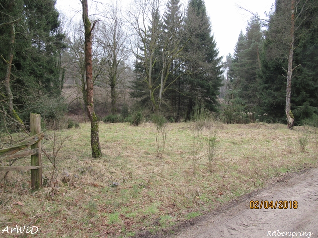 Fundamente Räberspring (3)