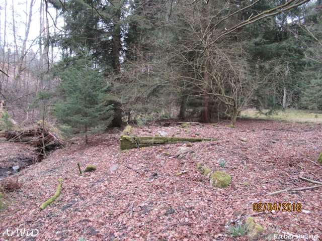 Fundamente Räberspring (4)