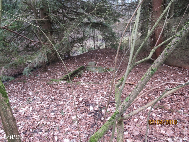 Fundamente Räberspring (6)