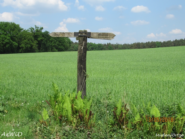 Wegweiser Winterhoff (2)