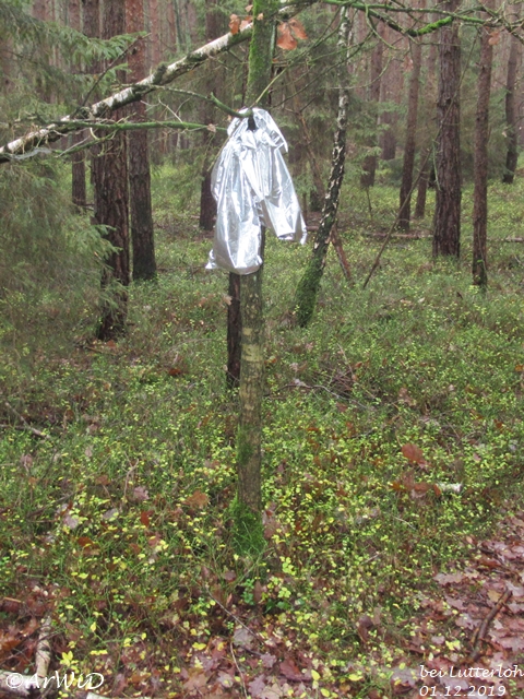 Baum mit Schleife (1)