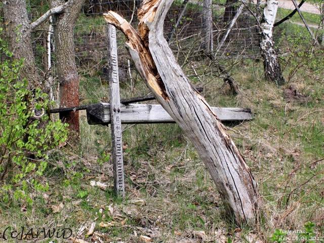©Hölzerner Wegweiser Parkplatz Tiefental (6)