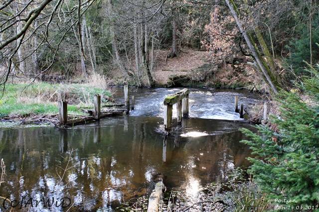 ©Stauwehr bei Poitzen (4)
