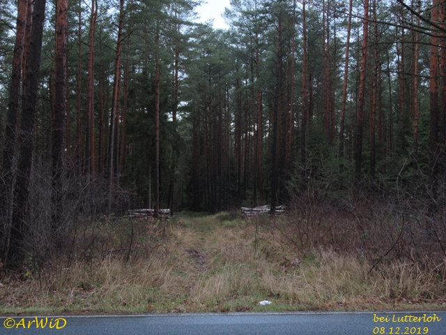 Durchgang zur Schutzhütte 2019