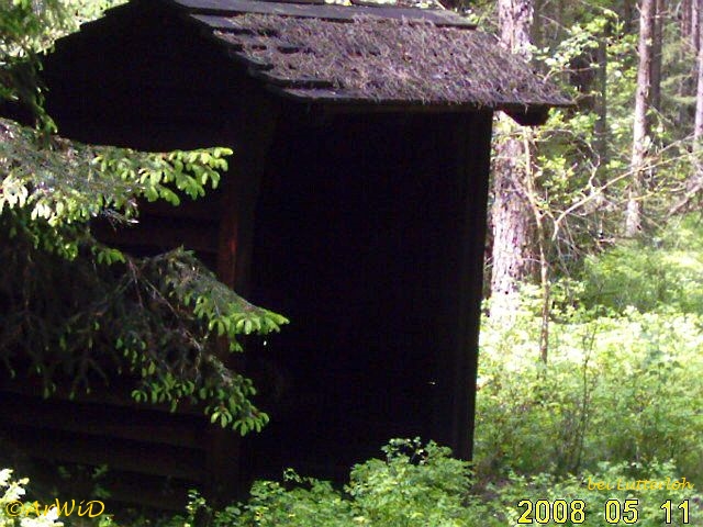 Ehemailge Schutzhütte 2008 (2)