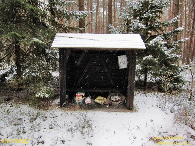 Ehemalige Schützhütte Grüner Weg 2012 (1)
