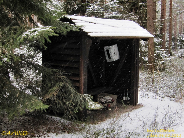 Ehemalige Schützhütte Grüner Weg 2012 (2)