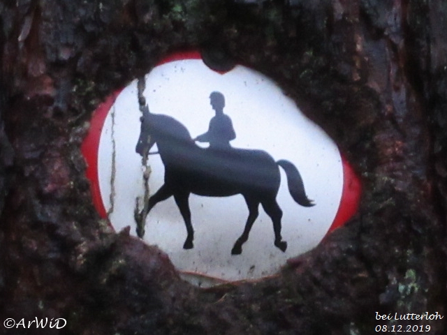 Eingewachsenes Schild Lutterloh (2)