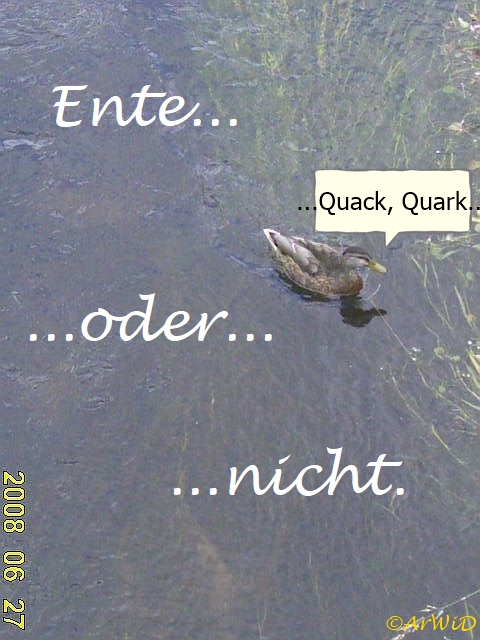 Ente oder nicht