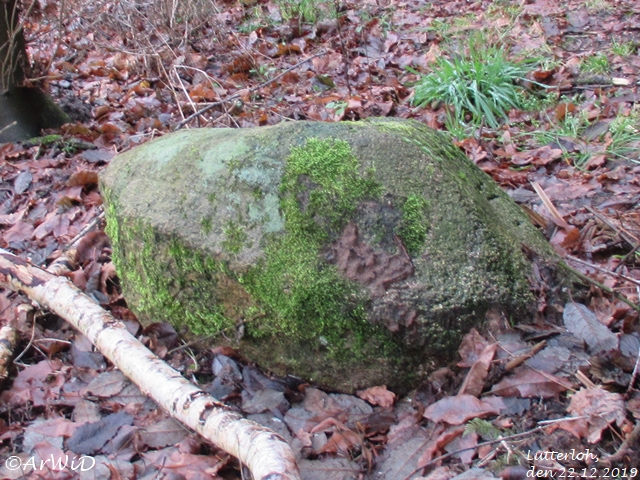 Gedenkstein Seefest Lutterloh (3)
