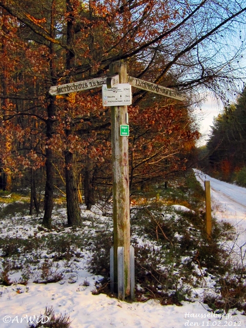 Hölzerne Wegweiser Hausselberg (1)
