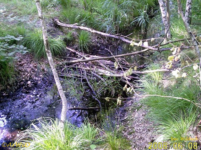 Rastplatz an den Wildecker Fischteichen III