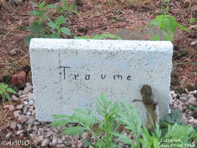 Träume