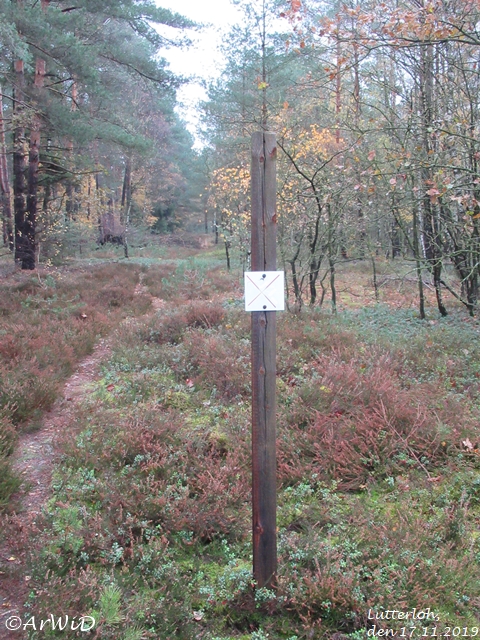 Verbottschild auf Abwegen (1)