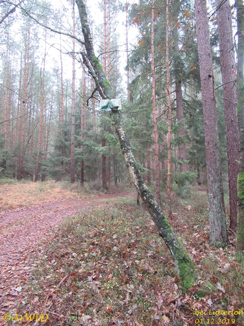 Vorsicht Falle 2018 (1)