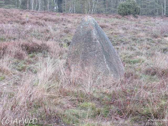 ©Drei Weisen von Lutterloh 2019 (2)