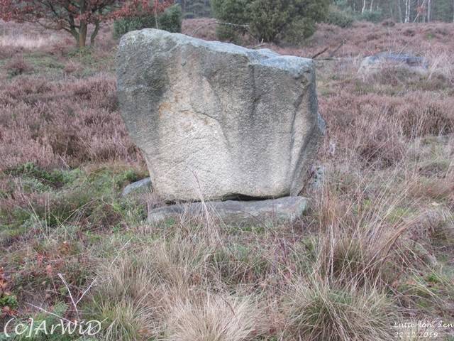 ©Drei Weisen von Lutterloh 2019 (3)