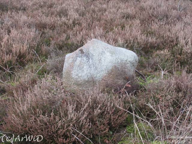 ©Drei Weisen von Lutterloh 2019 (5)