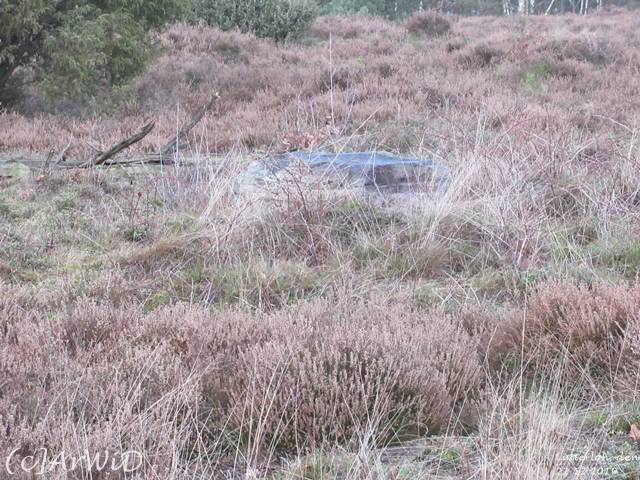 ©Drei Weisen von Lutterloh 2019 (6)