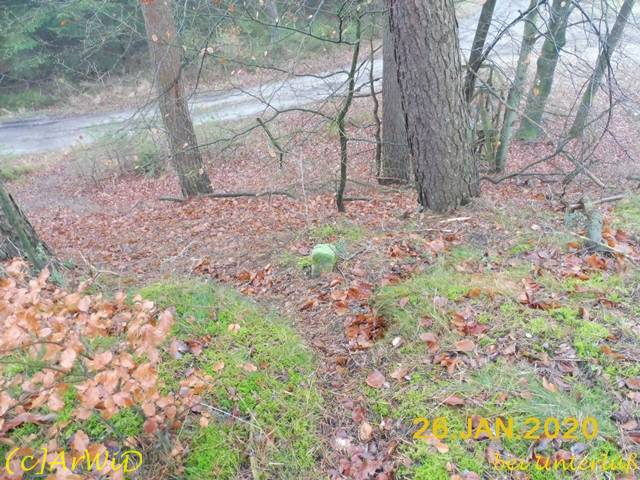 ©Ehemalige Brücke (10)