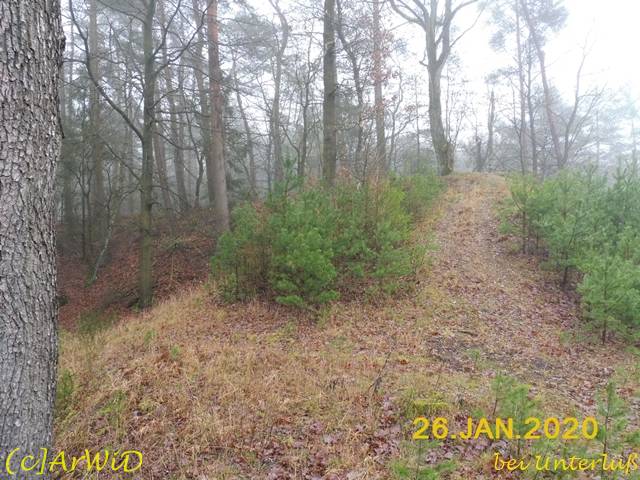 ©Ehemalige Brücke (11)