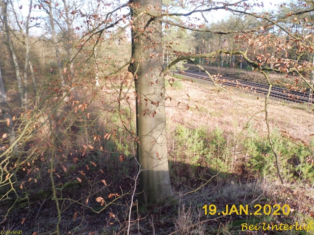 ©Ehemalige Brücke (3)