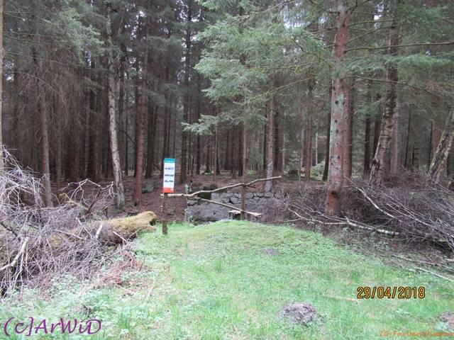 ©Fabrik im Wald 2018 (1)