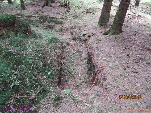 ©Fabrik im Wald 2018 (11)