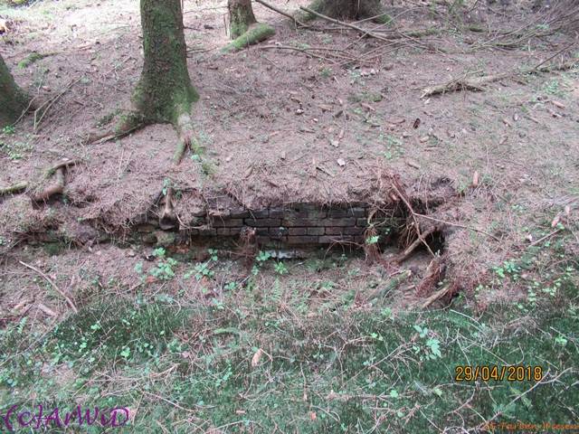 ©Fabrik im Wald 2018 (13)