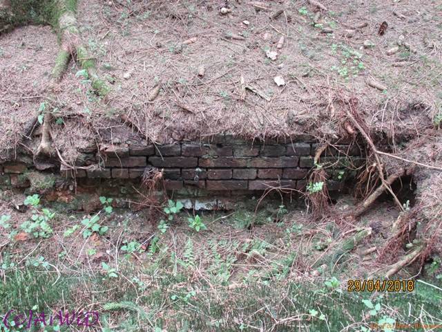 ©Fabrik im Wald 2018 (14)