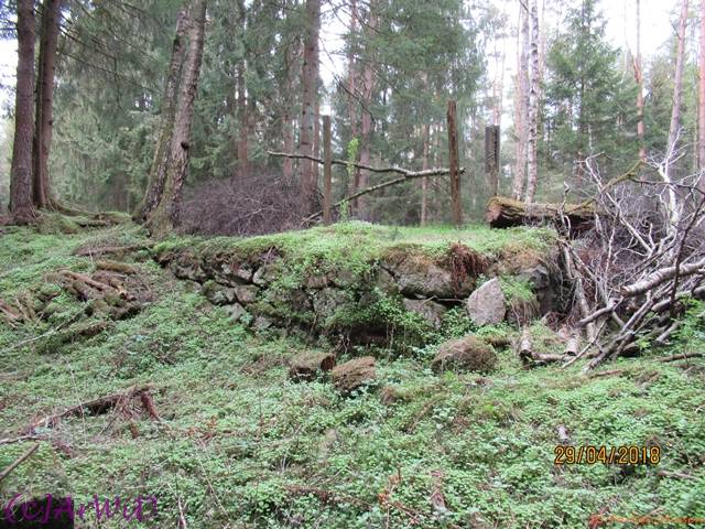 ©Fabrik im Wald 2018 (20)