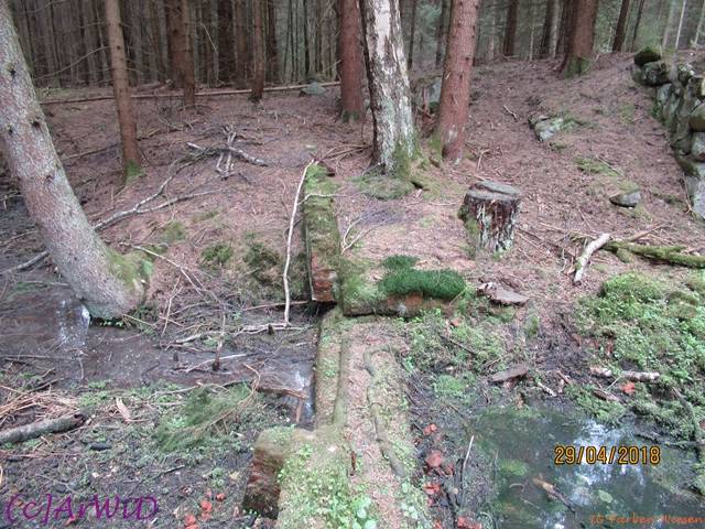 ©Fabrik im Wald 2018 (21)