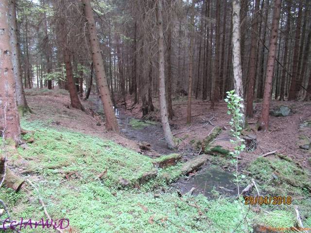 ©Fabrik im Wald 2018 (4)