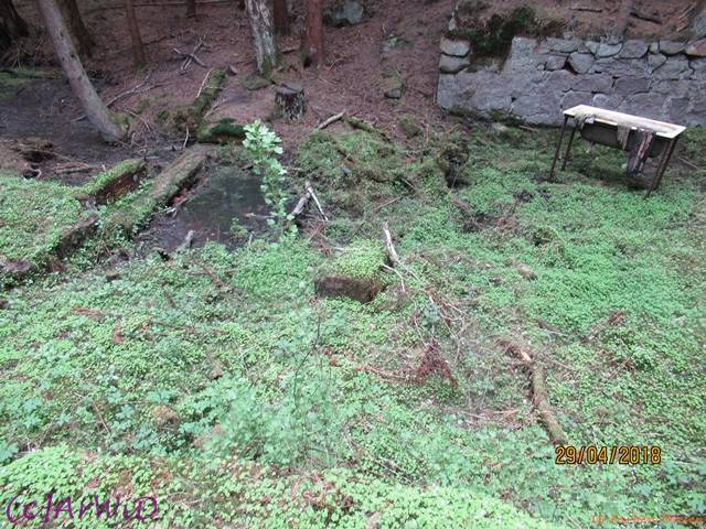 ©Fabrik im Wald 2018 (5)