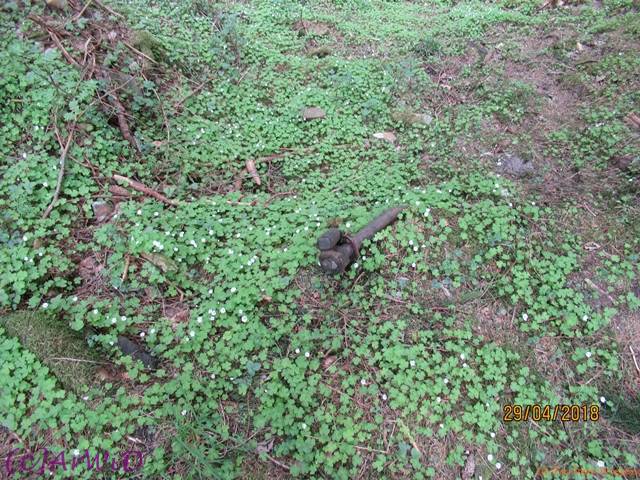 ©Fabrik im Wald 2018 (7)