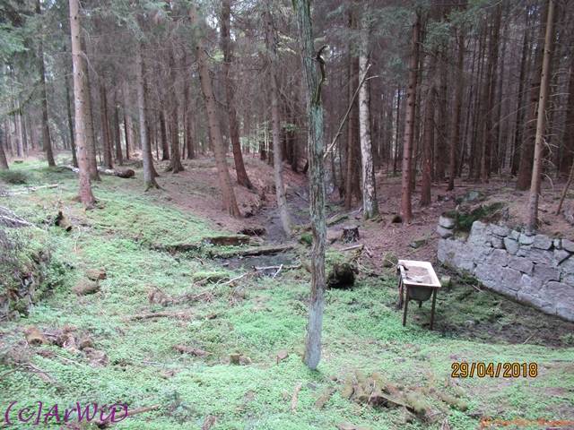 ©Fabrik im Wald 2018 (8)