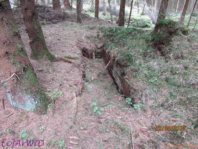 ©Fabrik im Wald 2018 (9)