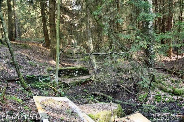 ©Fabrik im Wald bei Schelploh (11)