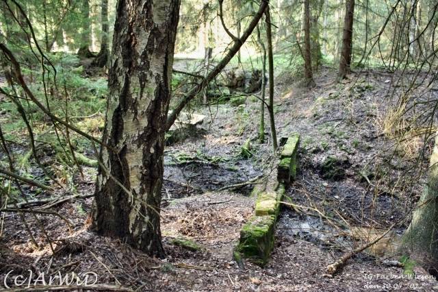 ©Fabrik im Wald bei Schelploh (14)