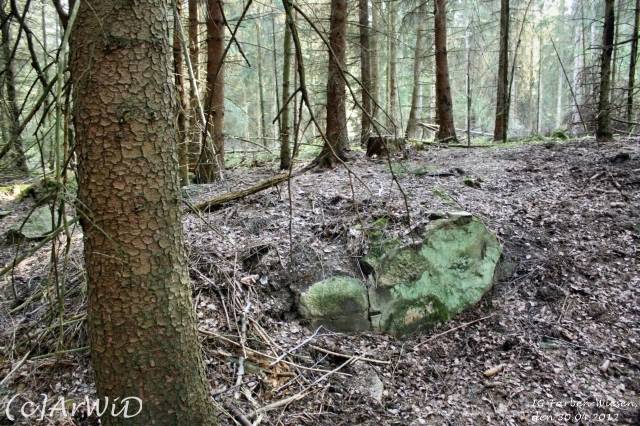 ©Fabrik im Wald bei Schelploh (15)