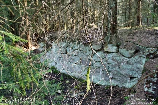 ©Fabrik im Wald bei Schelploh (19)
