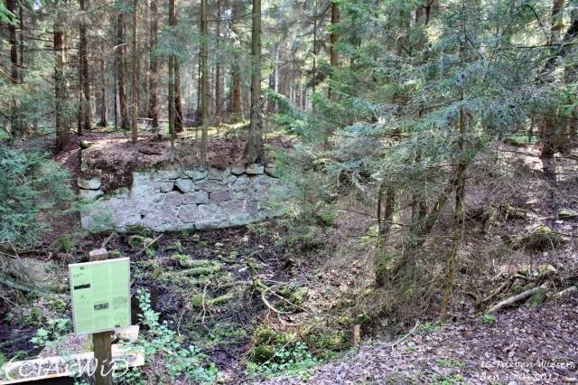 ©Fabrik im Wald bei Schelploh (2)