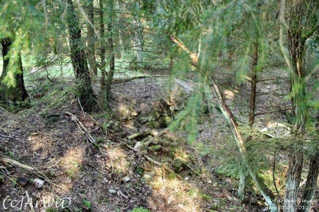 ©Fabrik im Wald bei Schelploh (20)